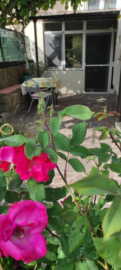Apartma Marinka Piran Bagian luar foto