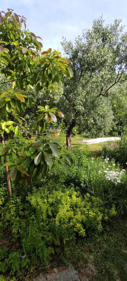 Apartma Marinka Piran Bagian luar foto