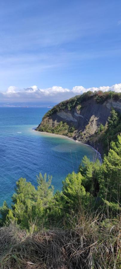 Apartma Marinka Piran Bagian luar foto