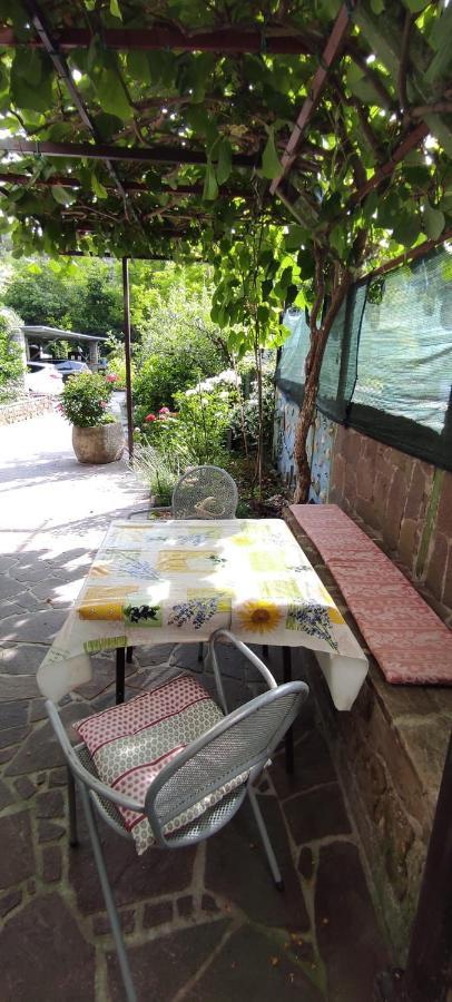 Apartma Marinka Piran Bagian luar foto
