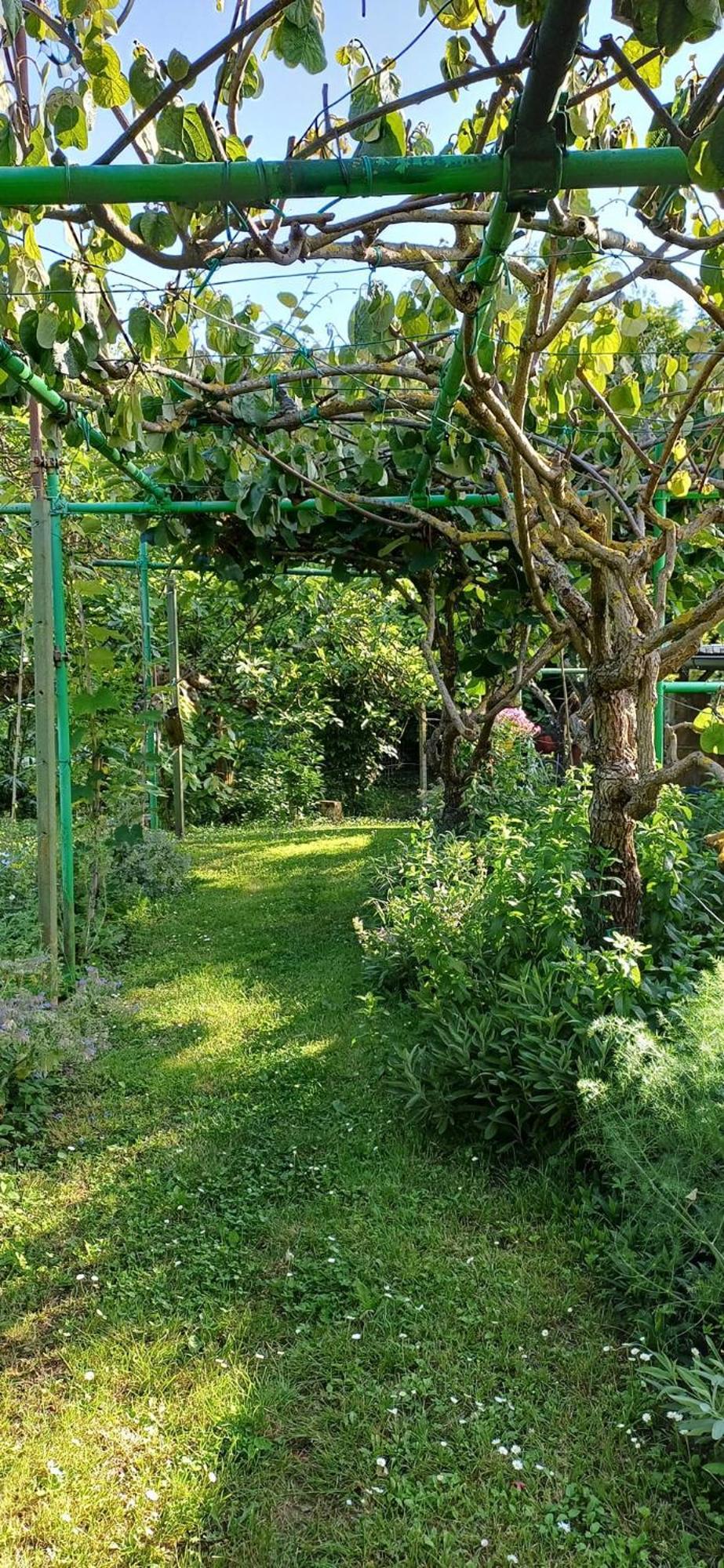 Apartma Marinka Piran Bagian luar foto