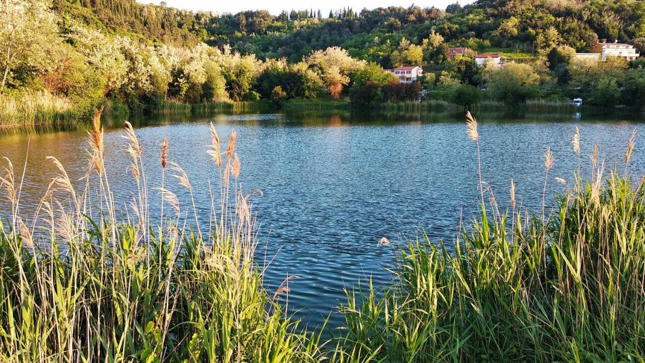 Apartma Marinka Piran Bagian luar foto