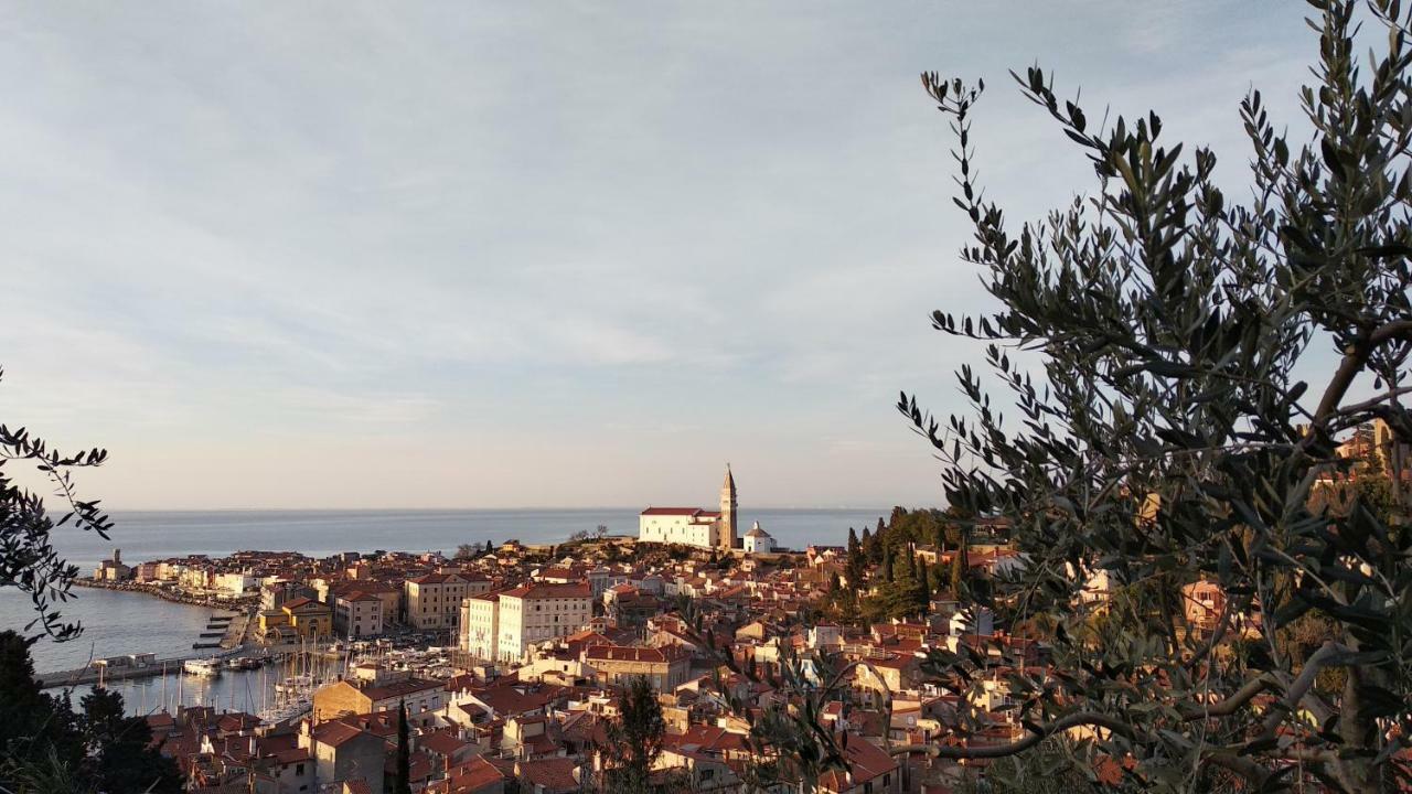 Apartma Marinka Piran Bagian luar foto